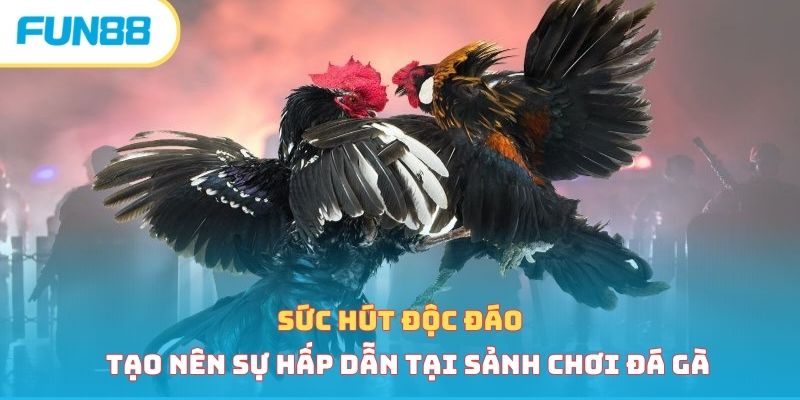 Sức hút độc đáo tạo nên sự hấp dẫn tại sảnh chơi đá gà