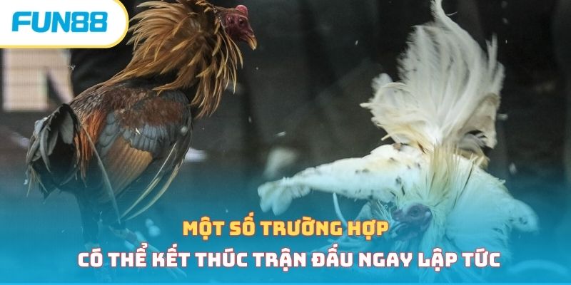 Một số trường hợp có thể kết thúc trận đấu ngay lập tức