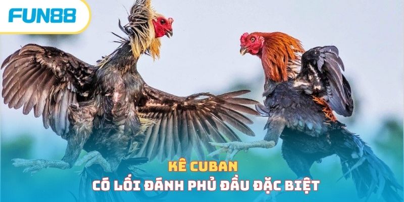 Kê Cuban có lối đánh phủ đầu đặc biệt